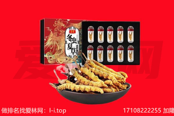 张家港市回收虫草.jpg